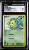 Chikorita