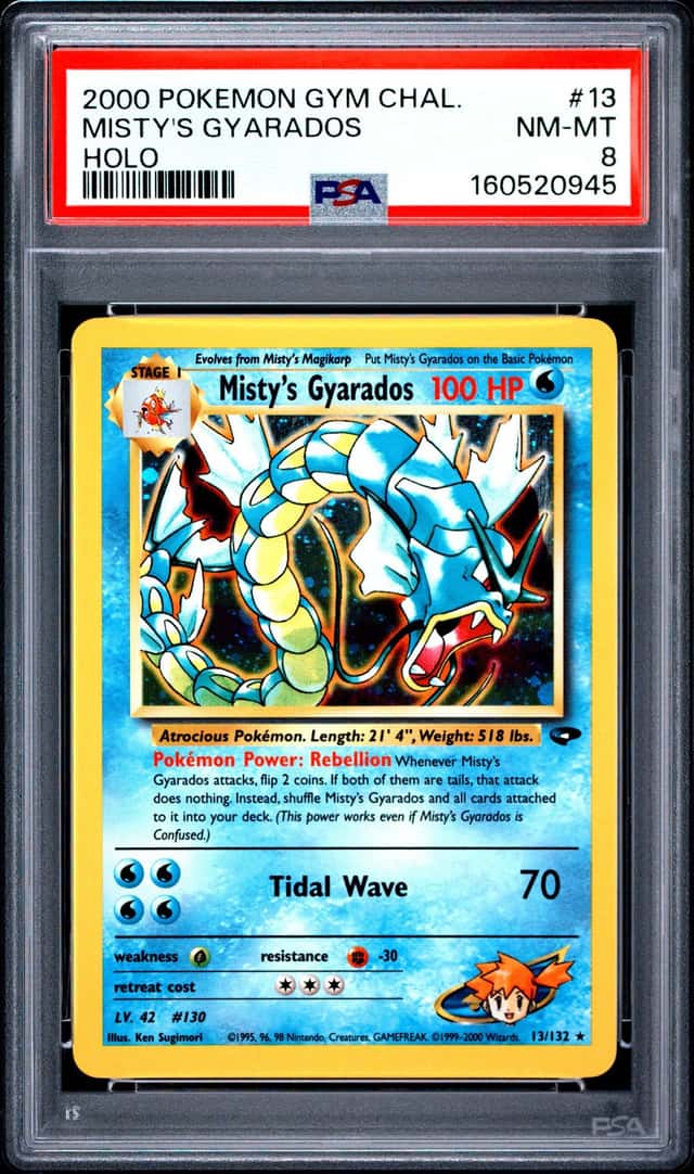 Misty's Gyarados