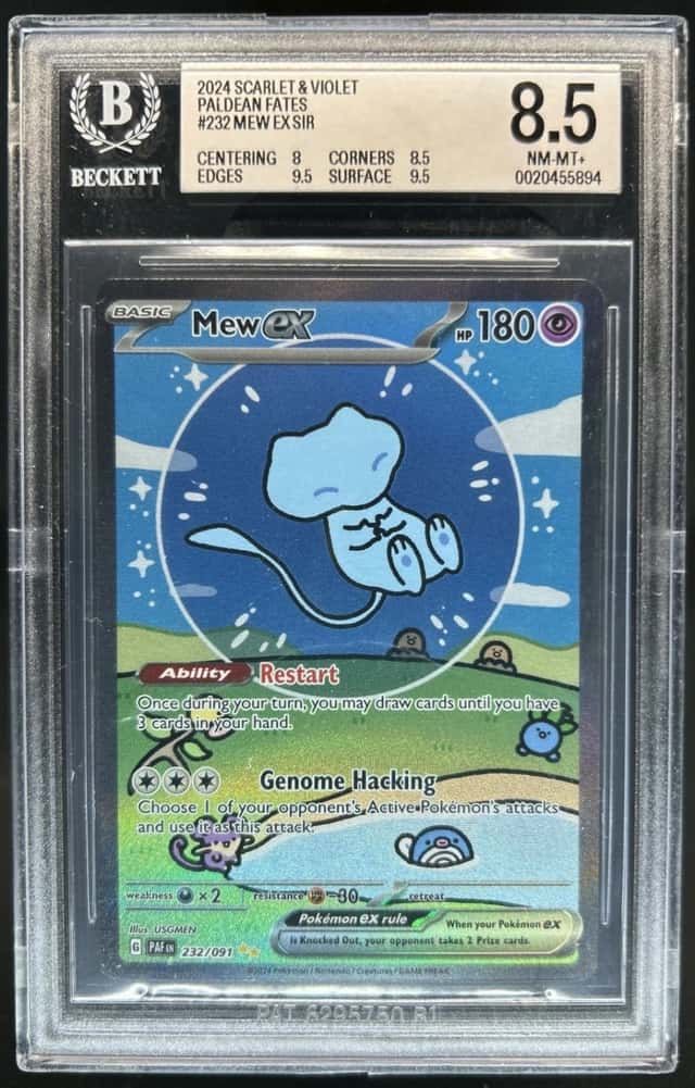 MEW ex
