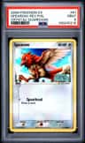 Spearow