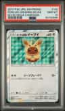 Poncho-Wearing Eevee