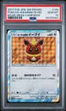 Poncho-Wearing Eevee