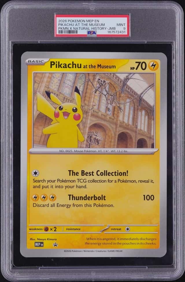 Pikachu At The Museum