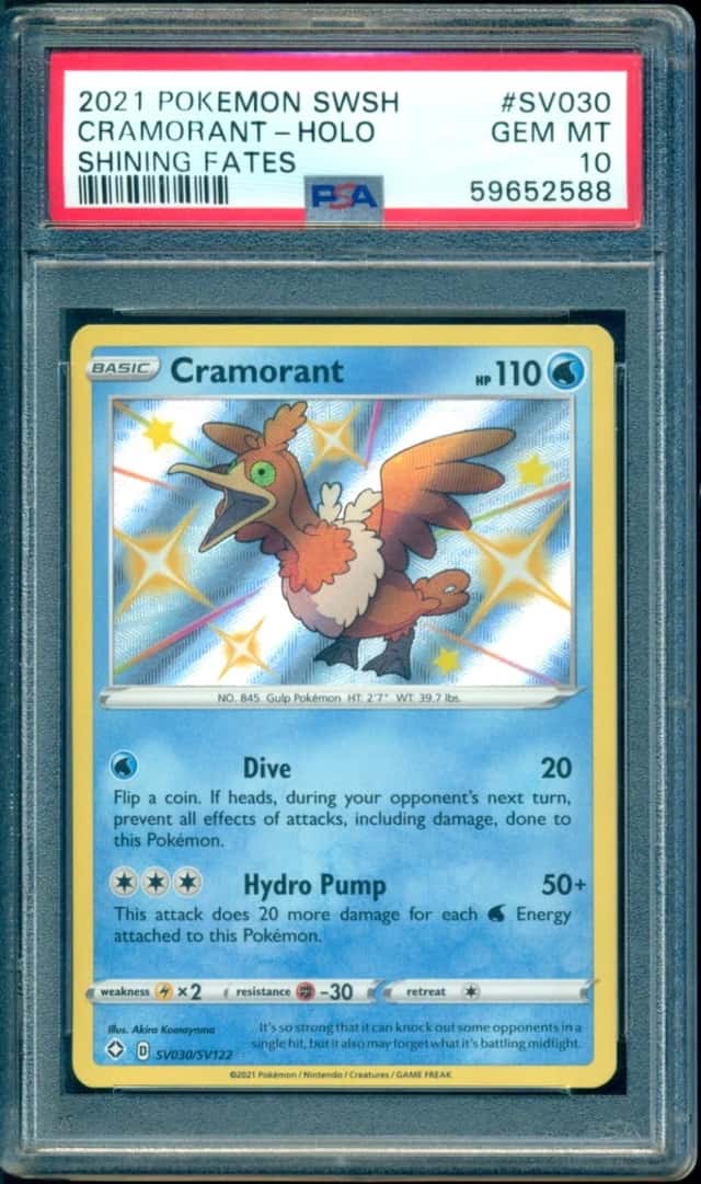 Cramorant