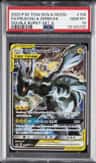 Fa/pikachu & Zkrm.gx