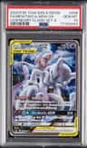 Mewtwo & Mew Gx