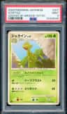 Sceptile