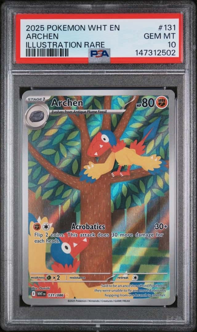 Archen
