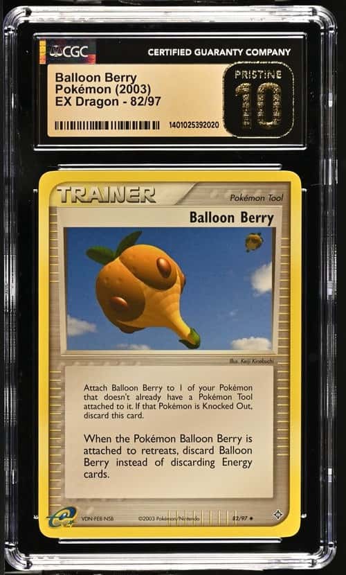 Balloon Berry