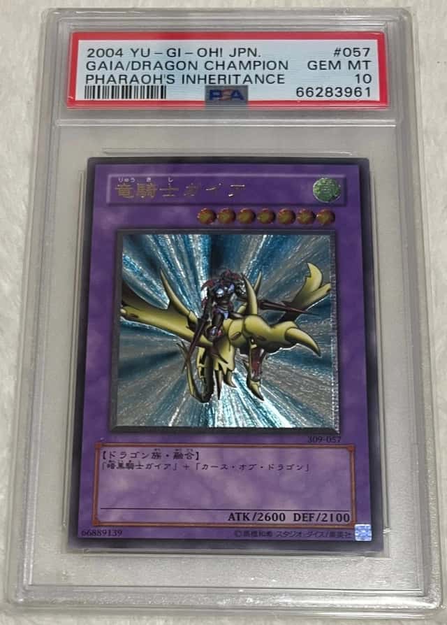Gaia/Dragon Champion