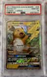 Raichu Gx