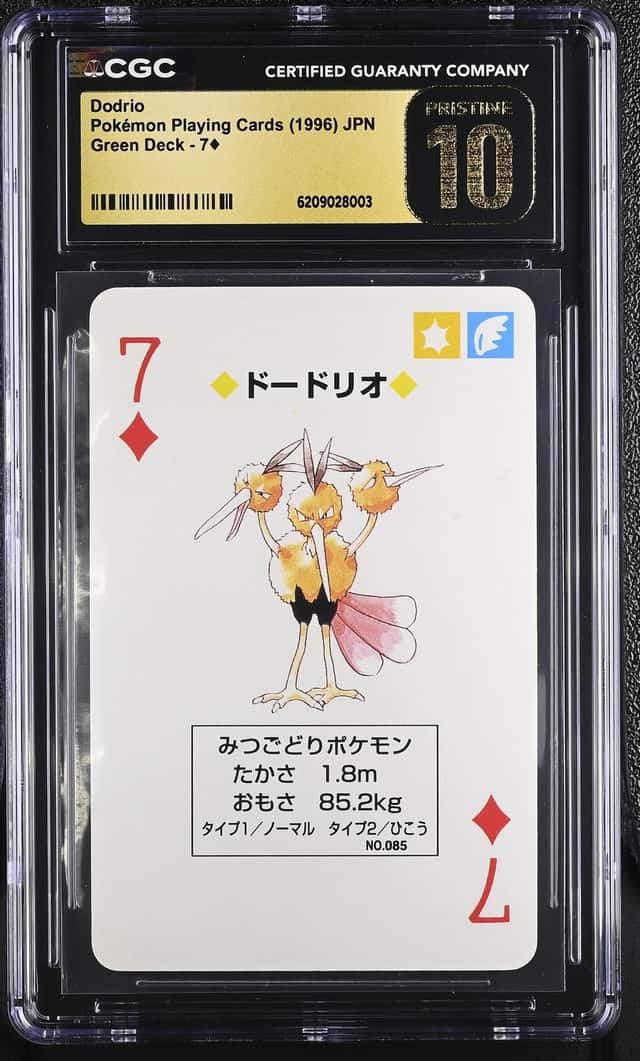 Dodrio