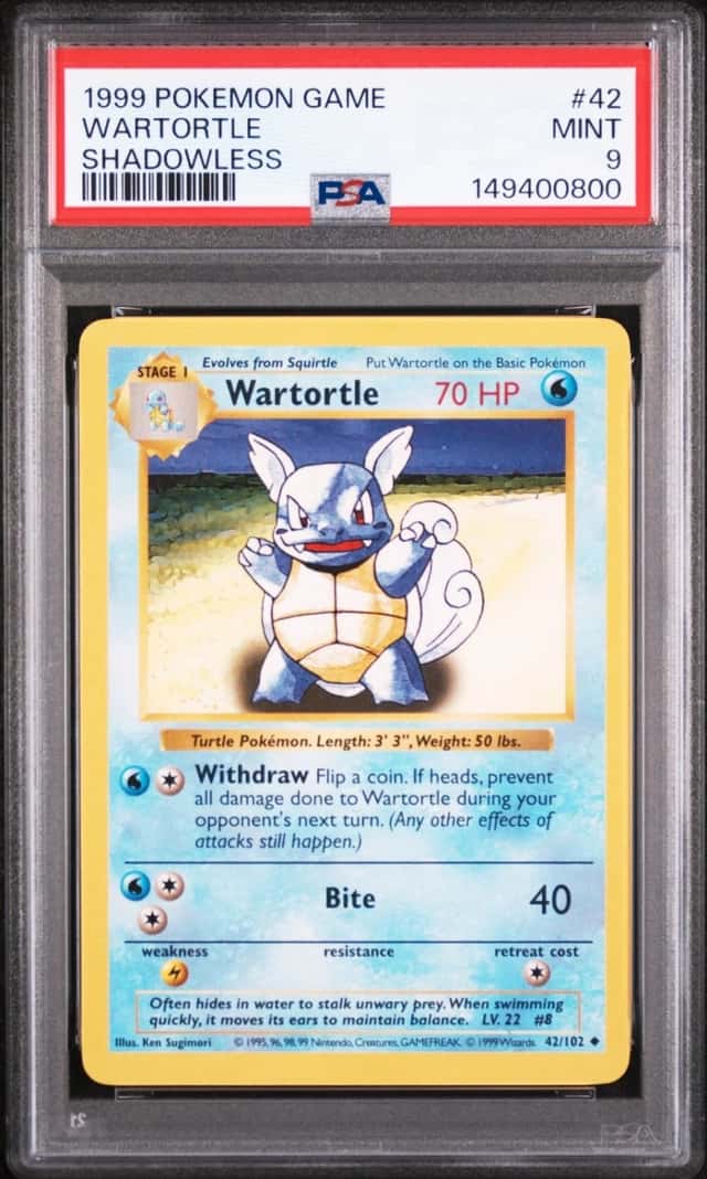 Wartortle
