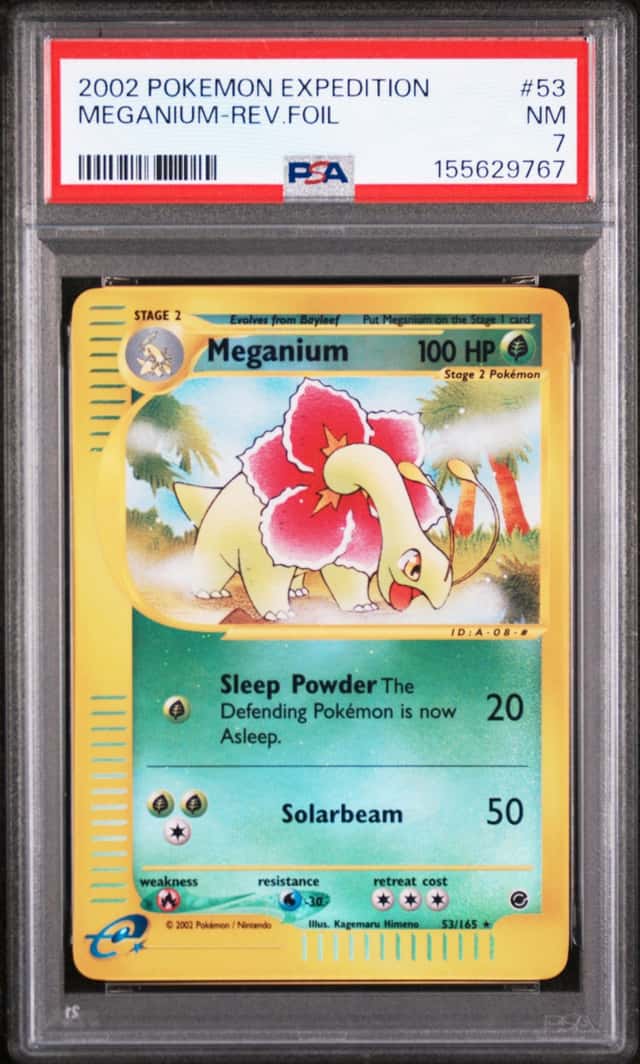 Meganium