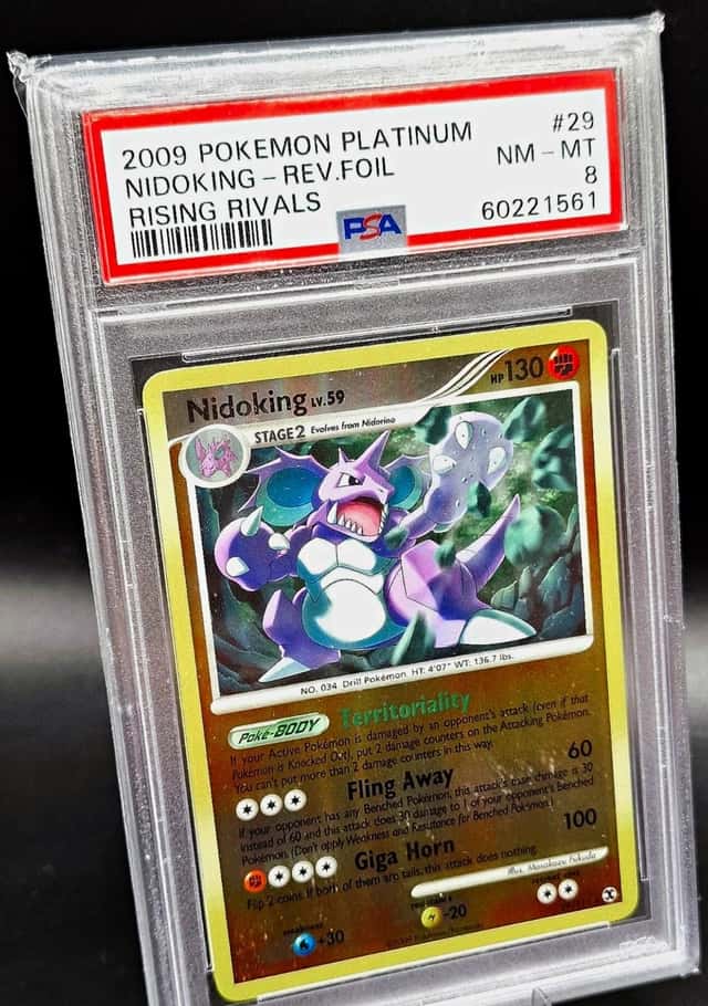 Nidoking