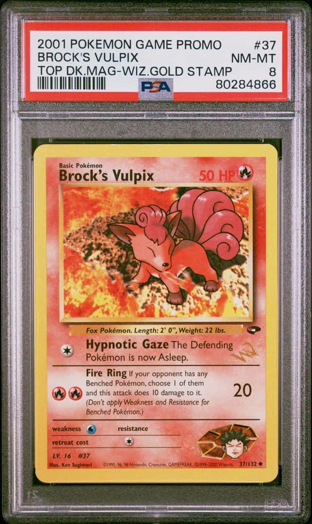 Brock's Vulpix