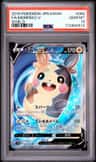 Morpeko V
