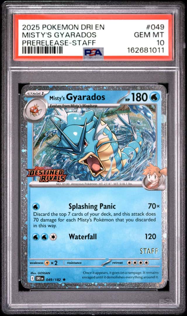 Misty's Gyarados