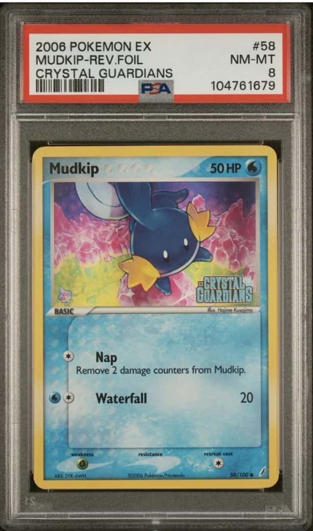 Mudkip