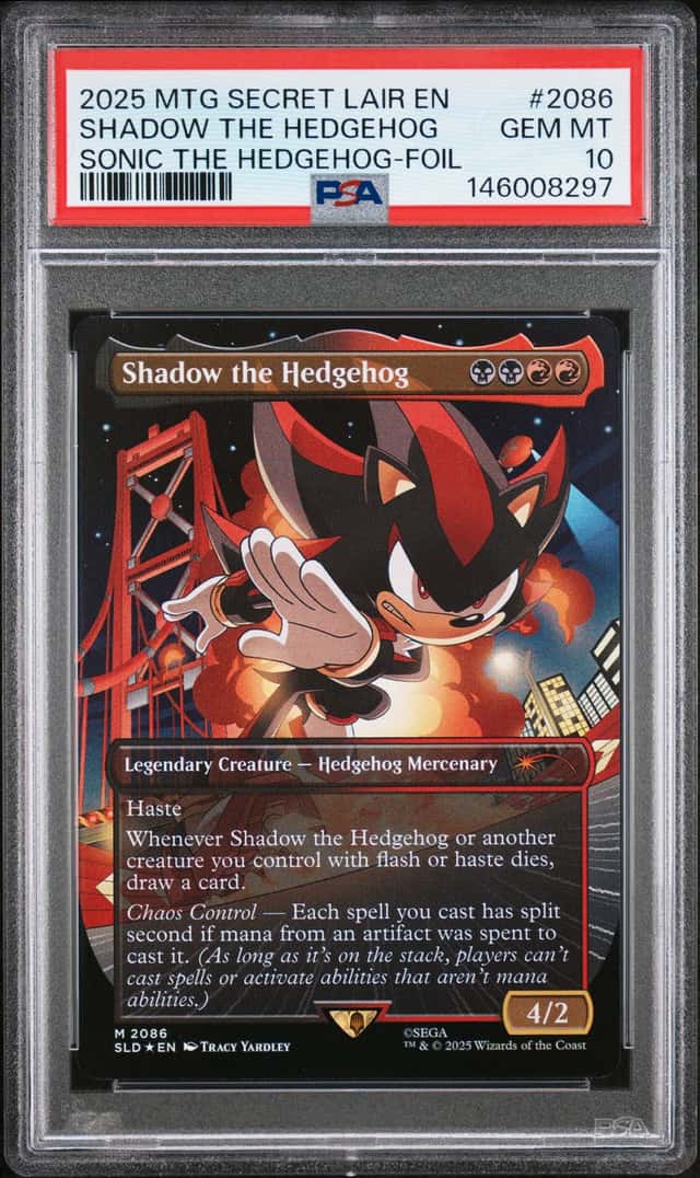 Shadow The Hedgehog