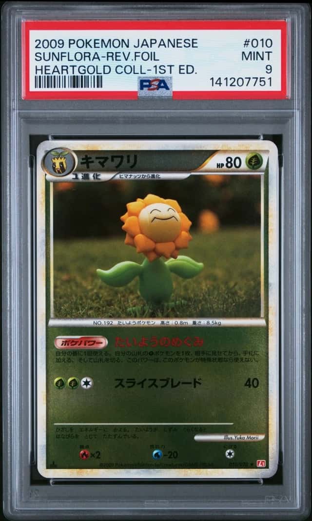 Sunflora