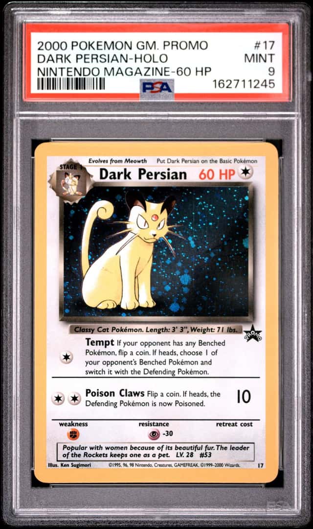 Dark Persian