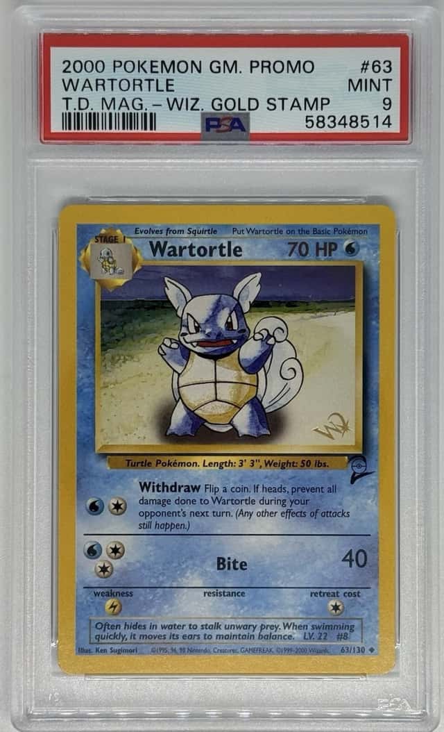 Wartortle