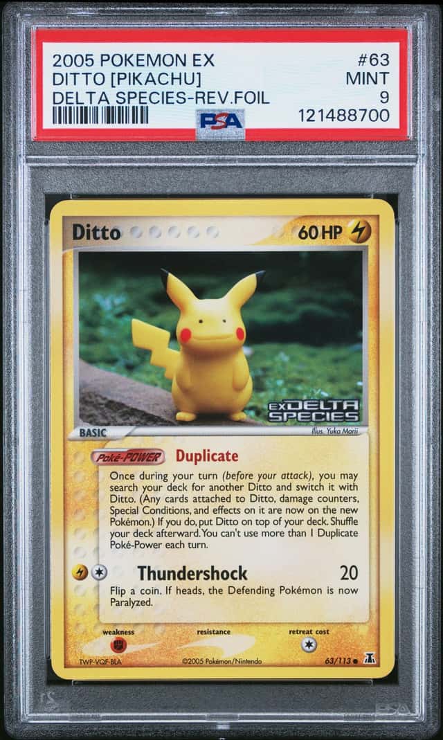 Ditto [Pikachu]