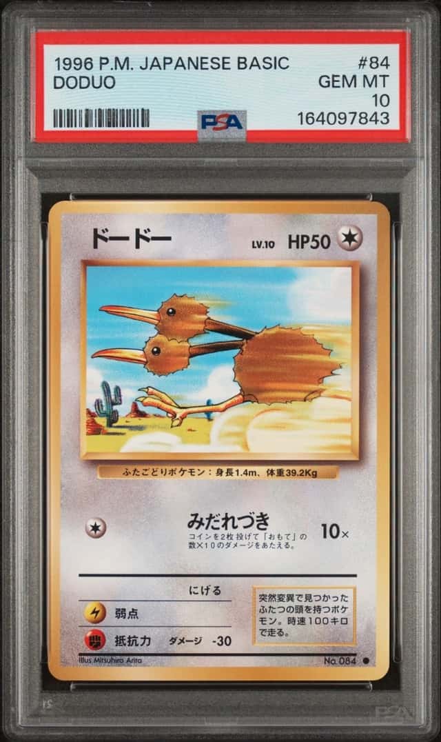 Doduo
