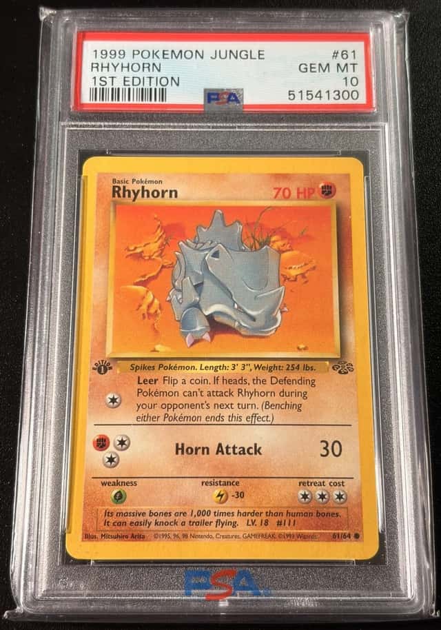 Rhyhorn