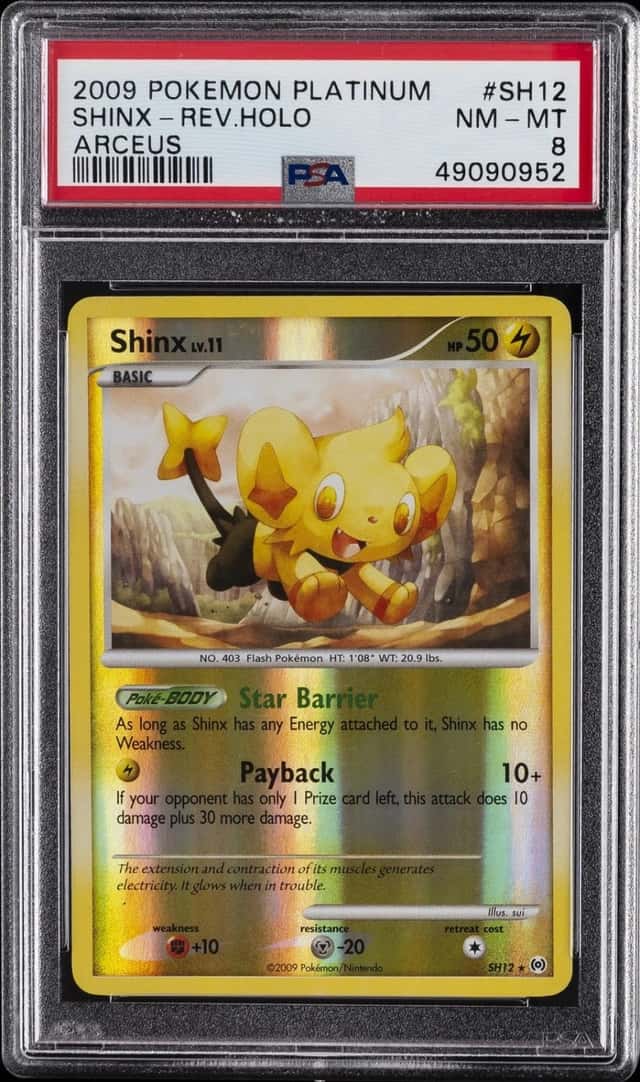 Shinx