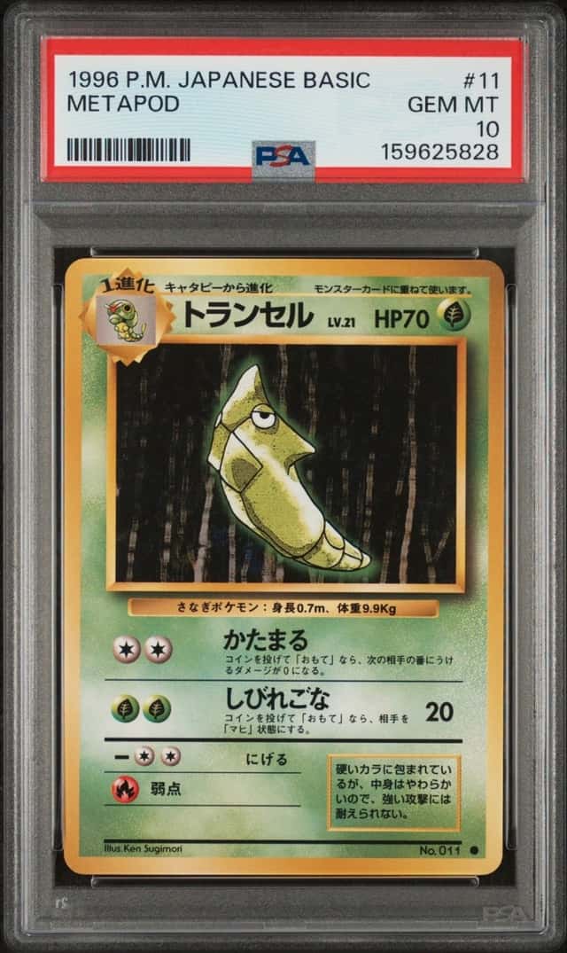 Metapod