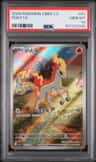 Ponyta