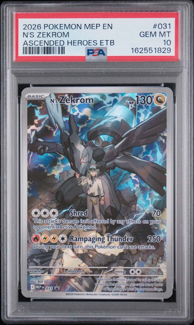 N's Zekrom