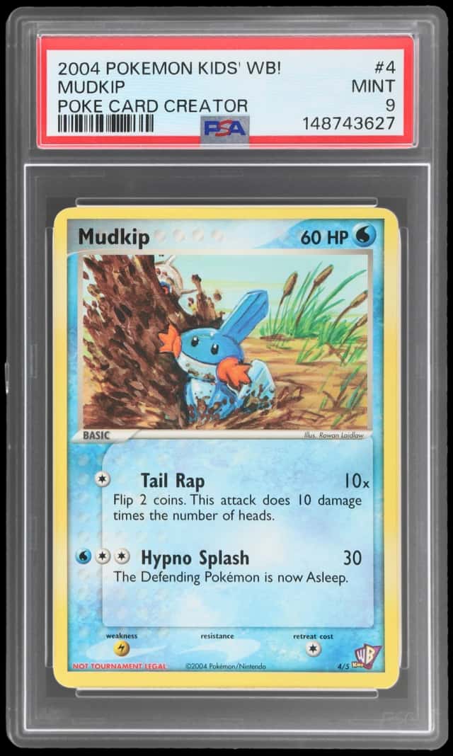 Mudkip