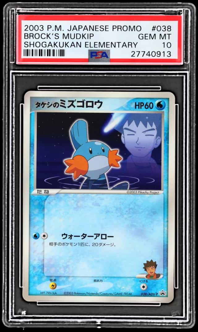 Brock's Mudkip