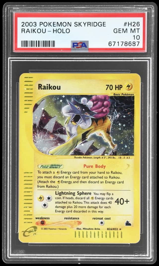 Raikou