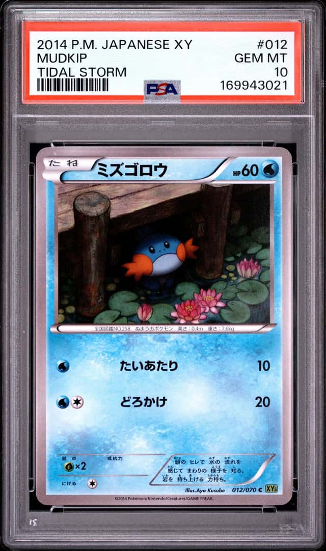 Mudkip