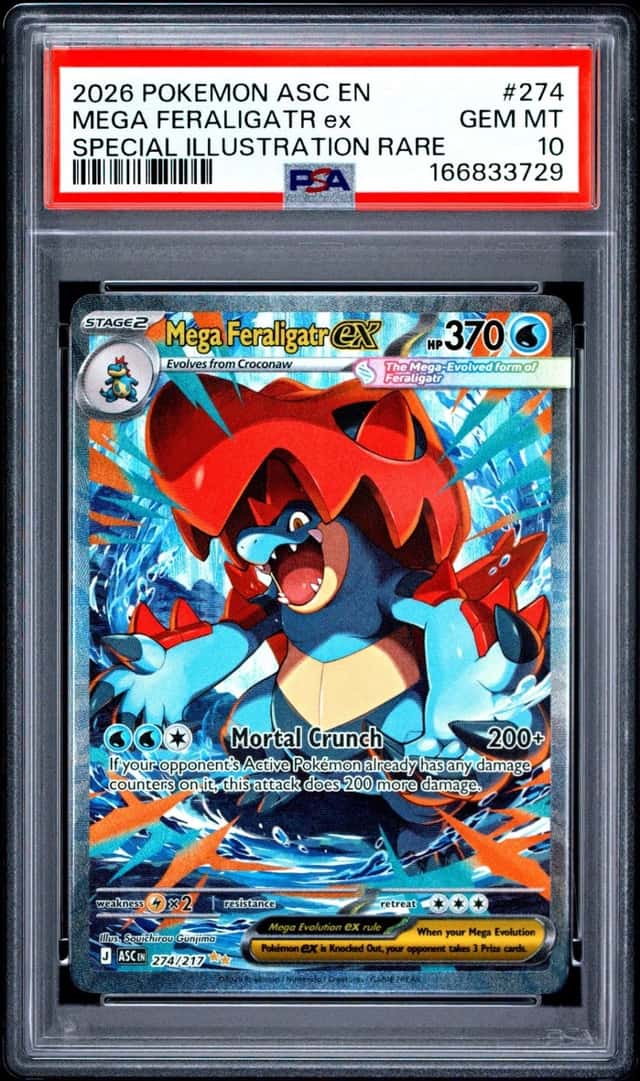 MEGA FERALIGATR ex