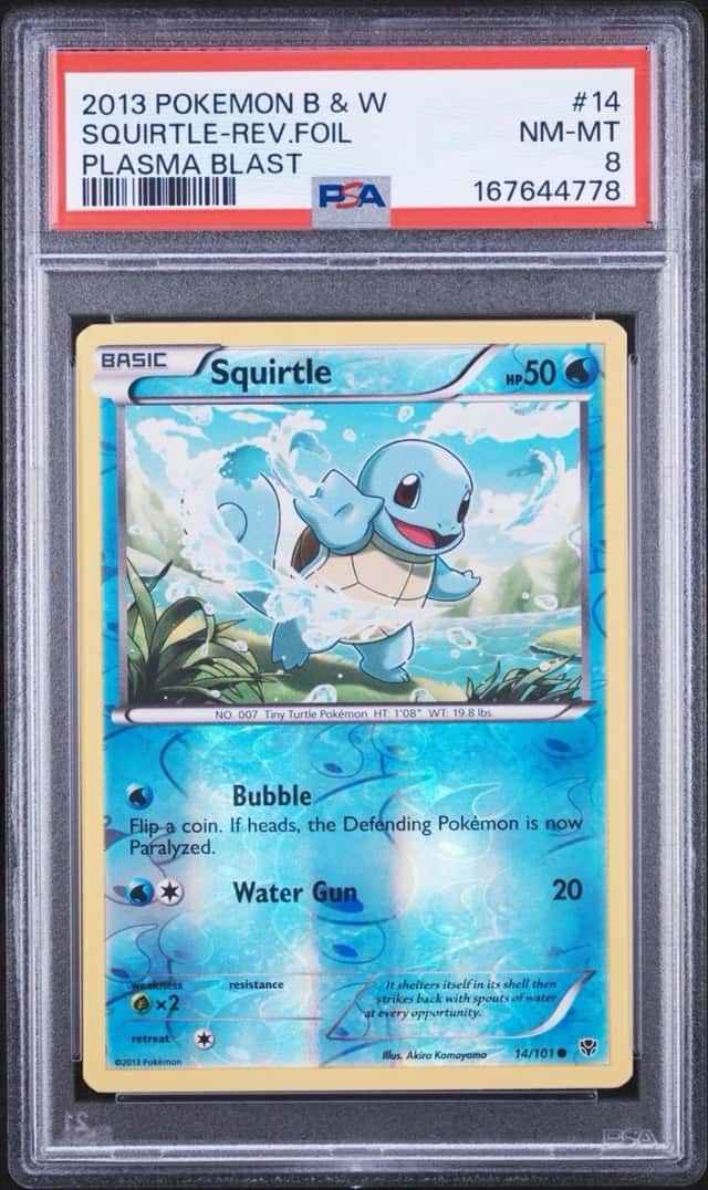 2013 Pokémon Black & White Plasma Blast Squirtle 14 Reverse Foil PSA 8 NM-MT