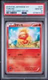 Torchic