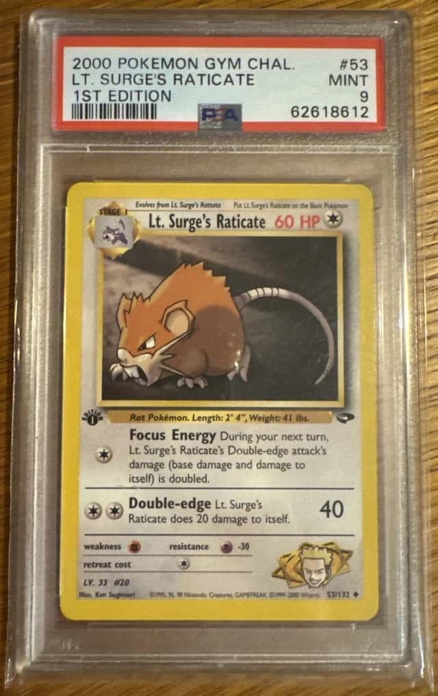 Lt. Surge's Raticate