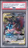Greninja & Zoroark Gx