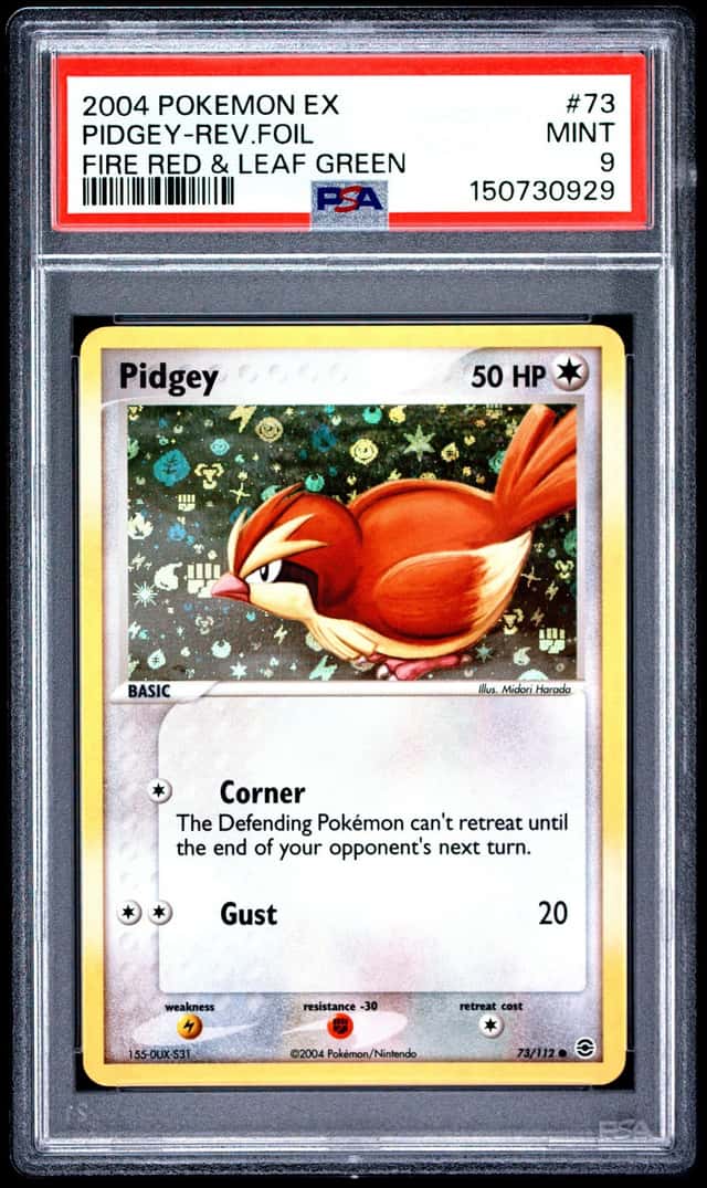 Pidgey