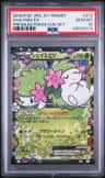 Shaymin Ex