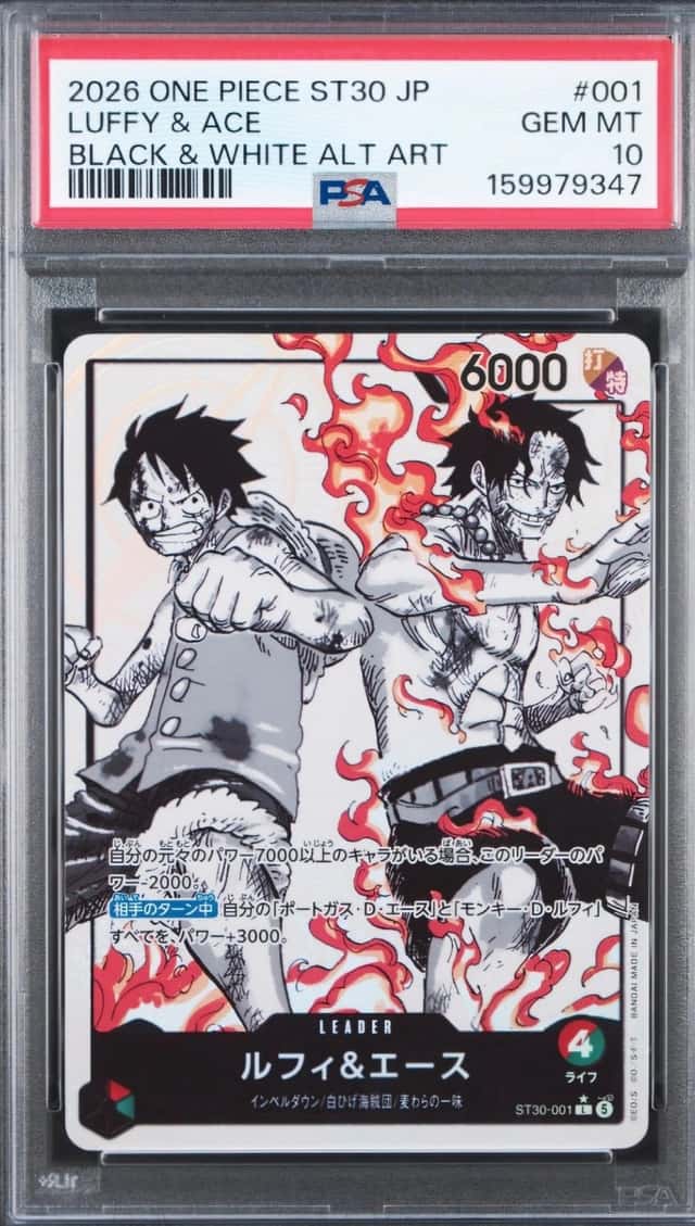 Luffy & Ace