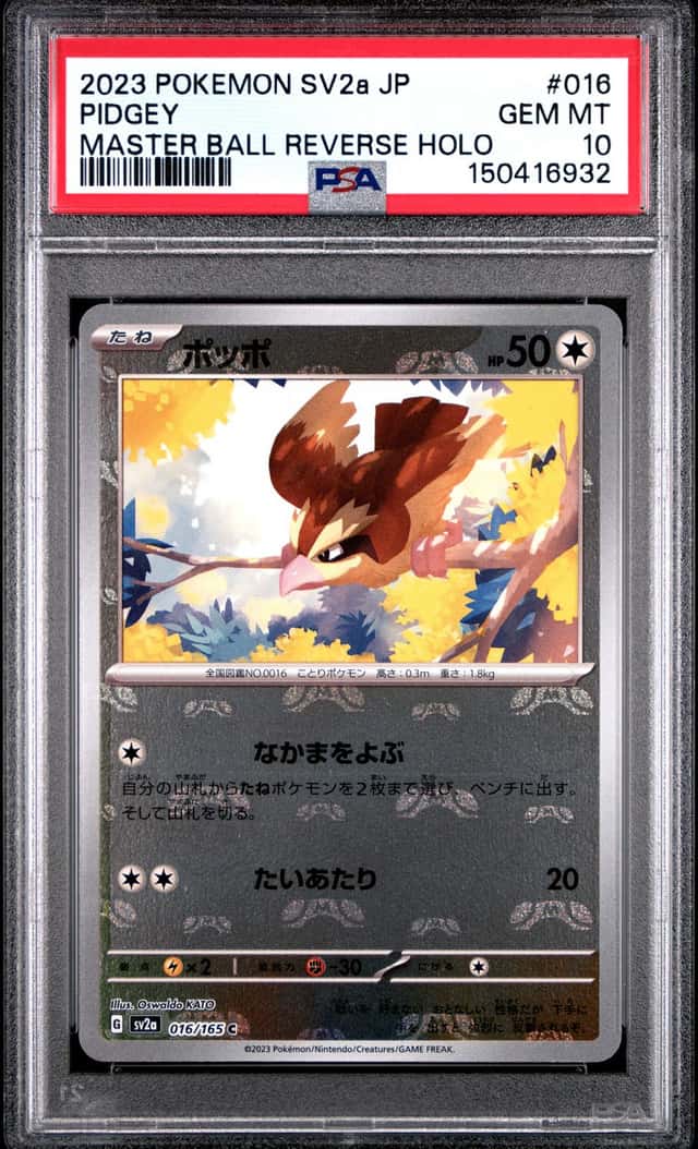 Pidgey