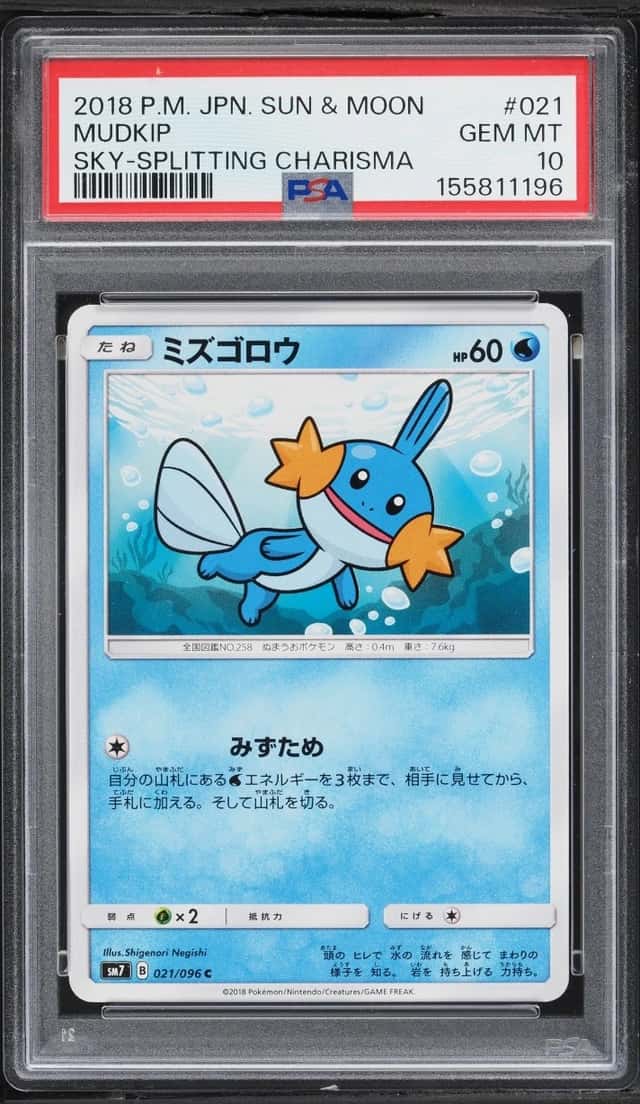Mudkip