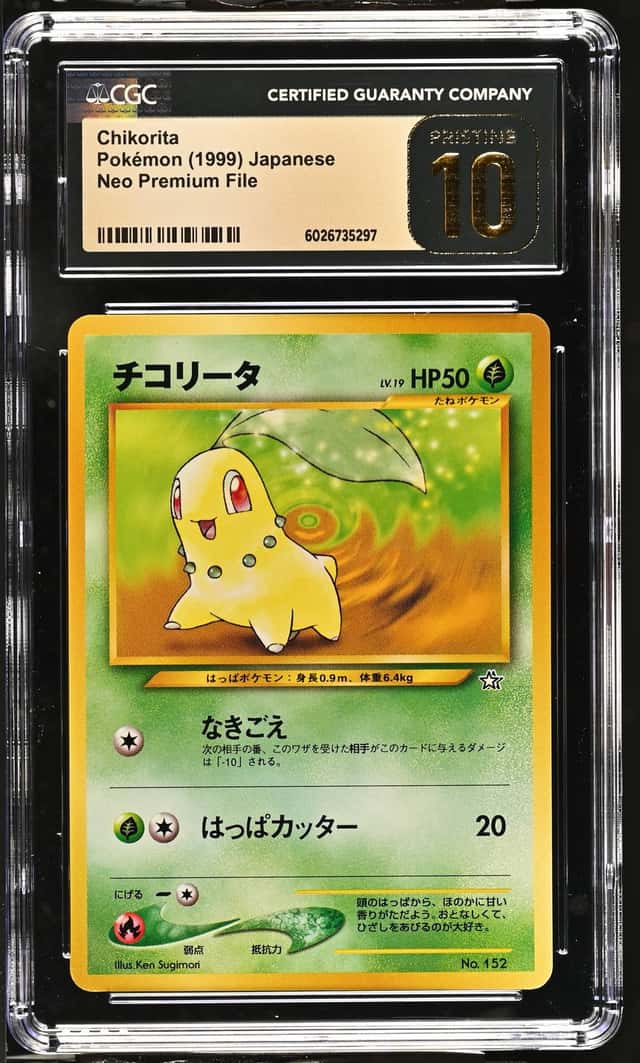 Chikorita