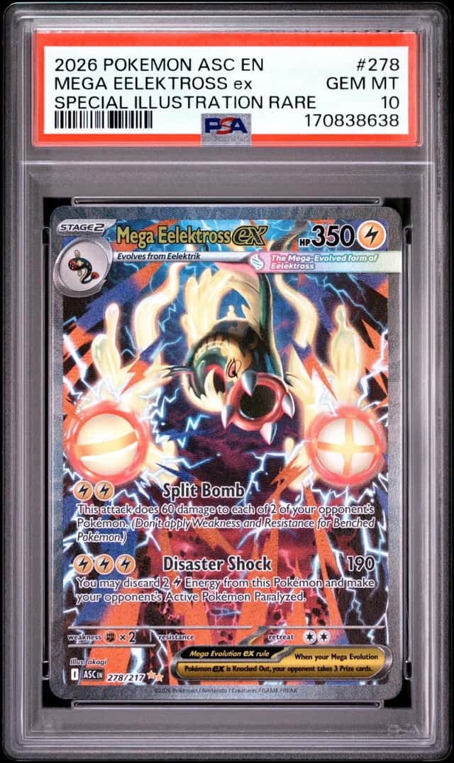 MEGA EELEKTROSS ex